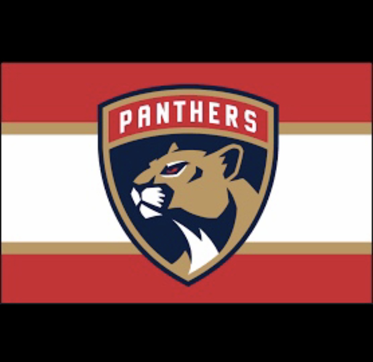 Florida Panthers at Ottawa: And guess who just returned